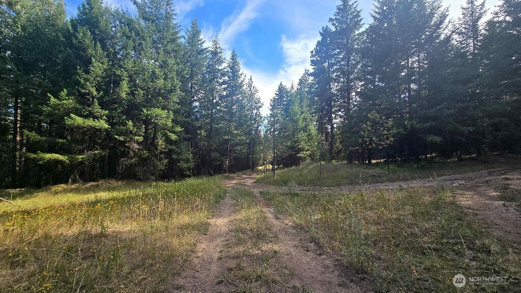 188 Rebel Road Property Photo 16