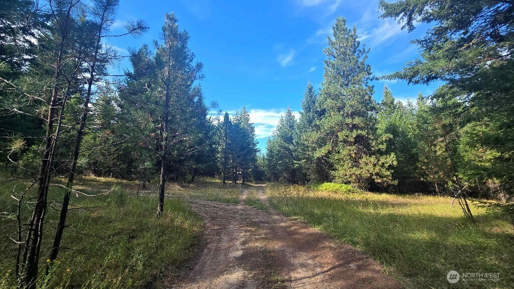 188 Rebel Road Property Photo 17