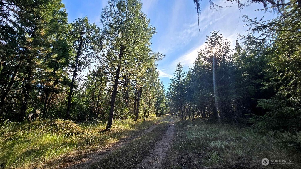 188 Rebel Road Property Photo 18