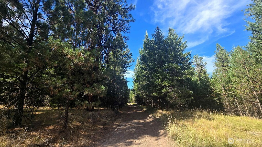 188 Rebel Road Property Photo 19