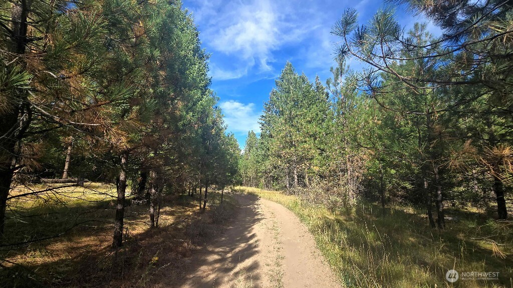 188 Rebel Road Property Photo 20