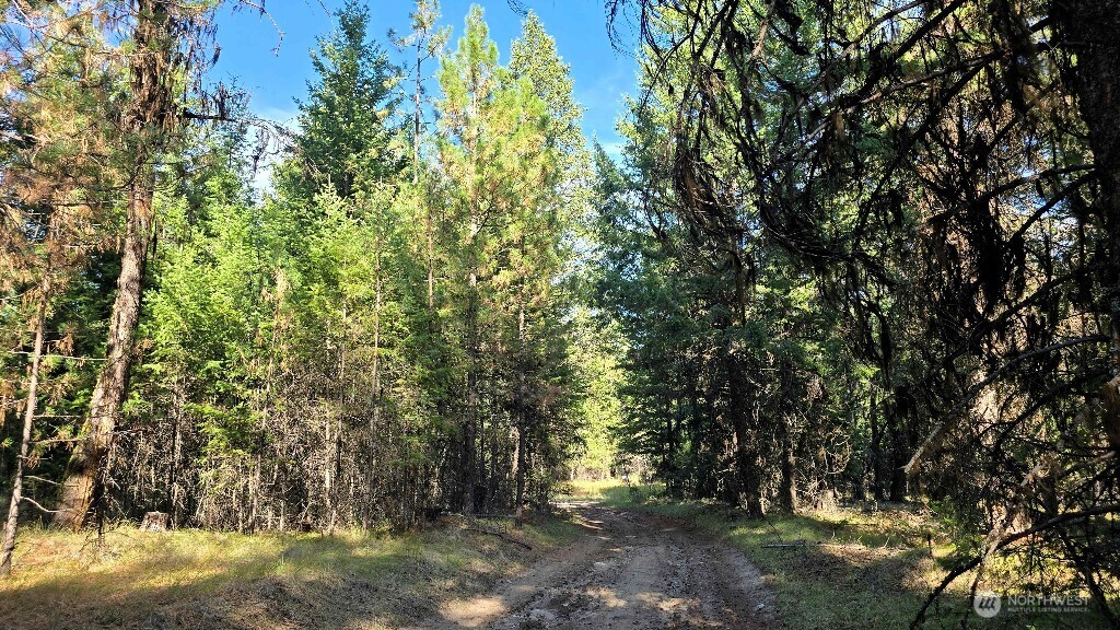 188 Rebel Road Property Photo 21