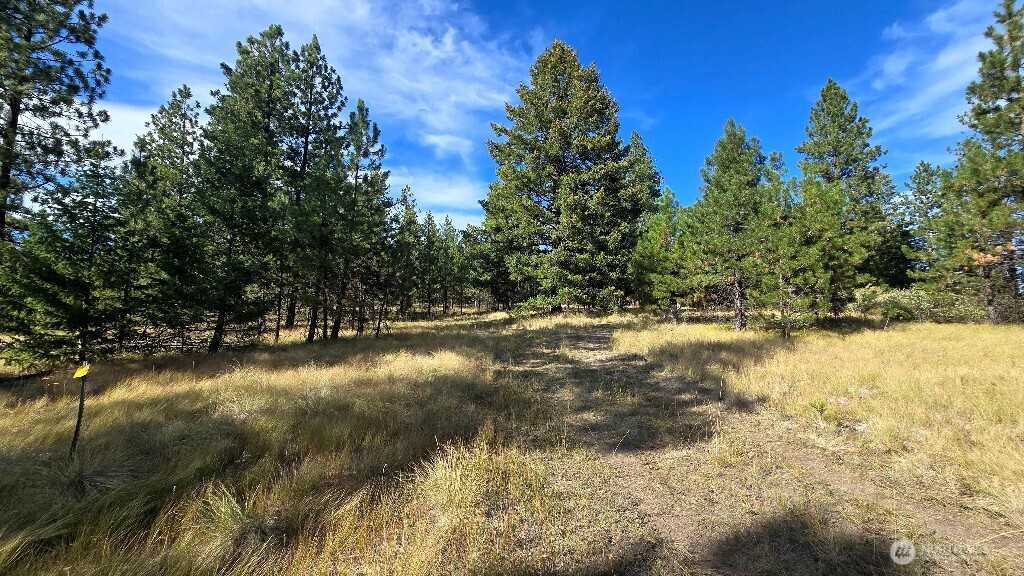 188 Rebel Road Property Photo 22