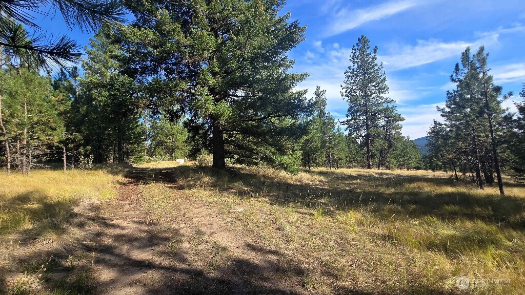 188 Rebel Road Property Photo 23