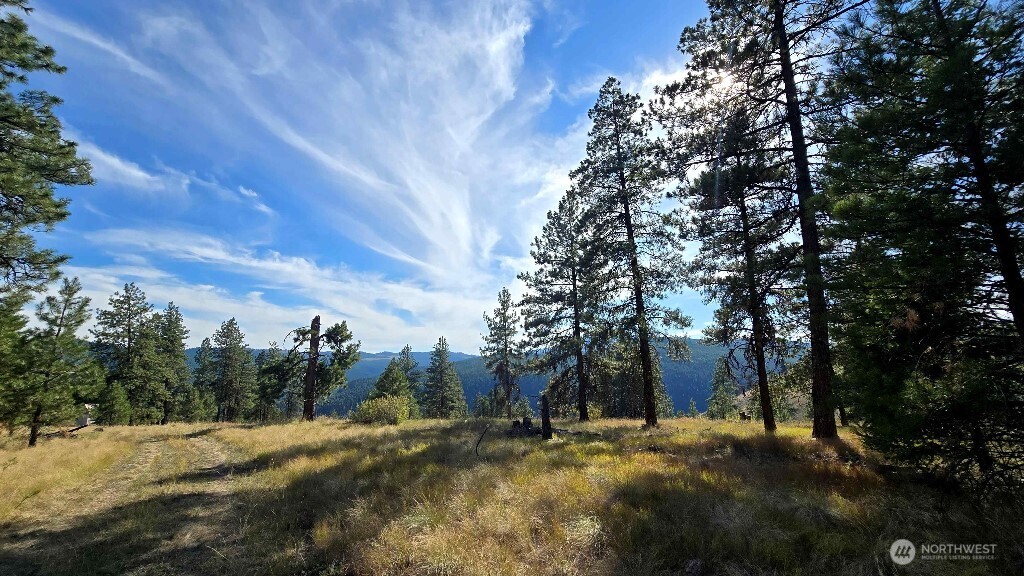 188 Rebel Road Property Photo 24