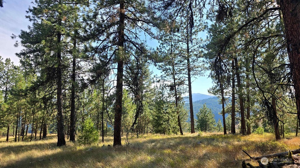 188 Rebel Road Property Photo 25