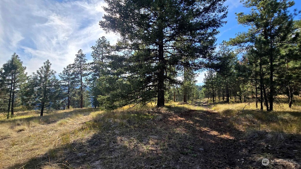 188 Rebel Road Property Photo 27