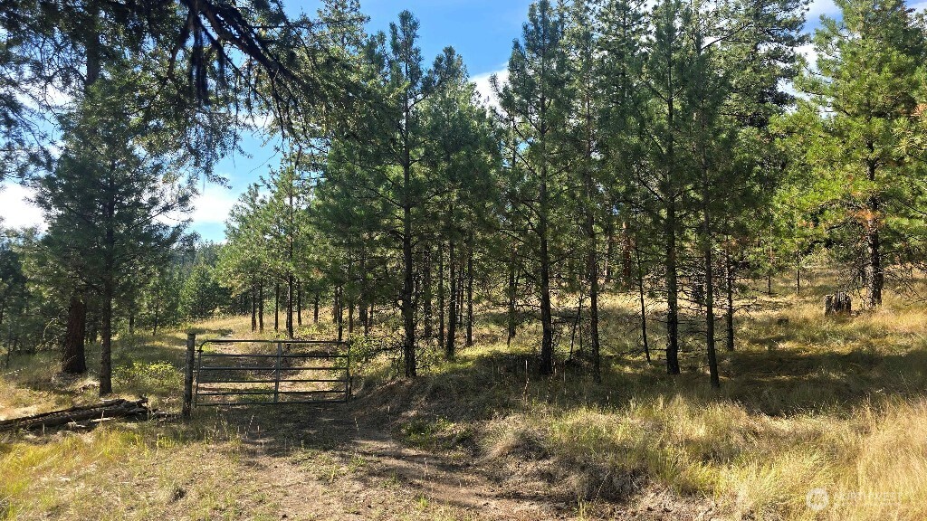 188 Rebel Road Property Photo 28