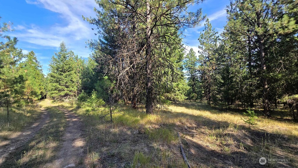 188 Rebel Road Property Photo 29