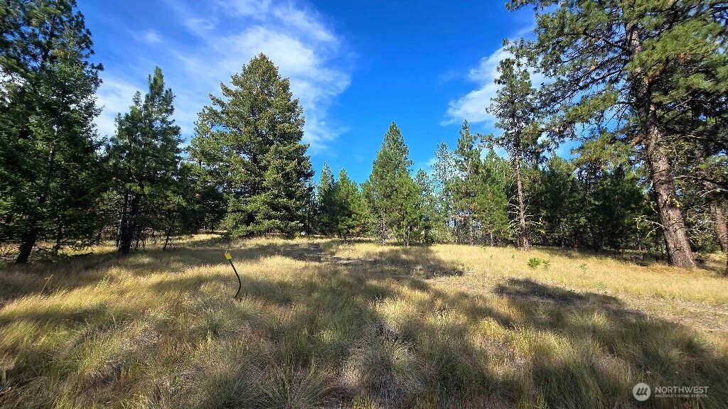 188 Rebel Road Property Photo 30