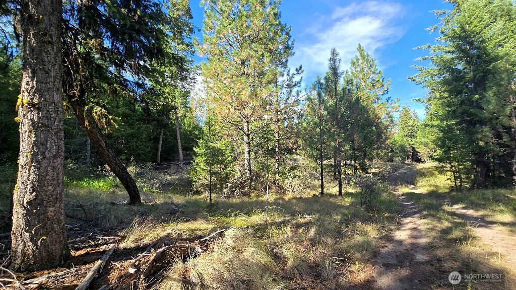 188 Rebel Road Property Photo 31