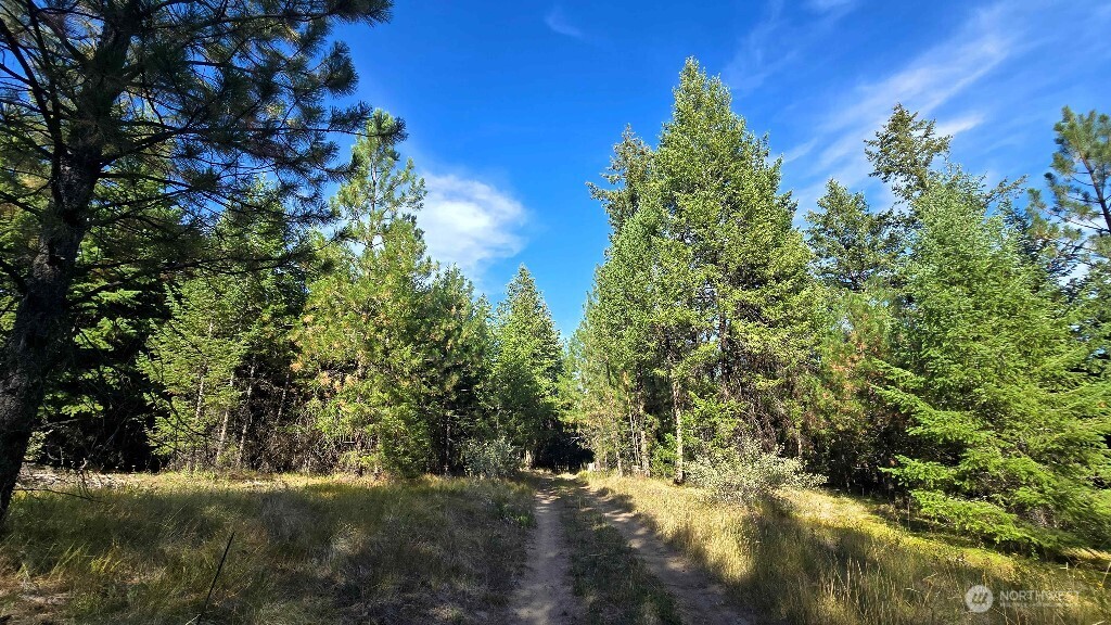 188 Rebel Road Property Photo 32