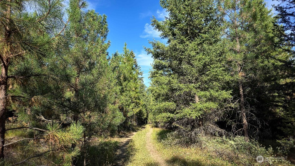 188 Rebel Road Property Photo 33