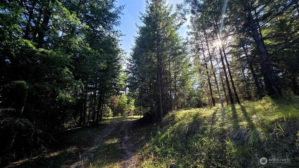 188 Rebel Road Property Photo 34