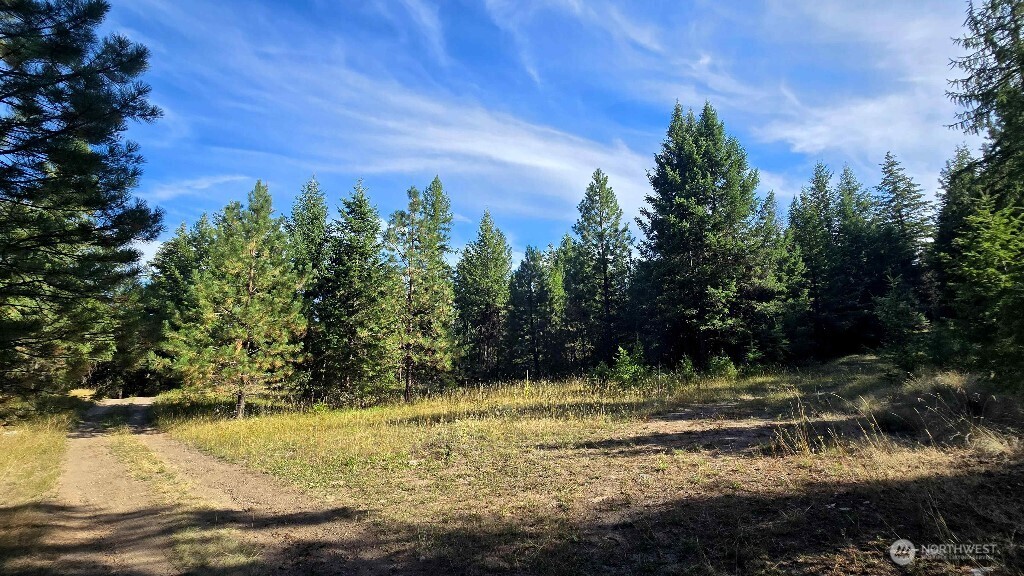 188 Rebel Road Property Photo 35