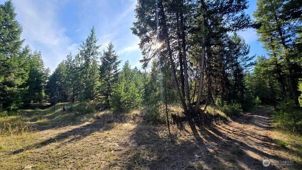 188 Rebel Road Property Photo 36