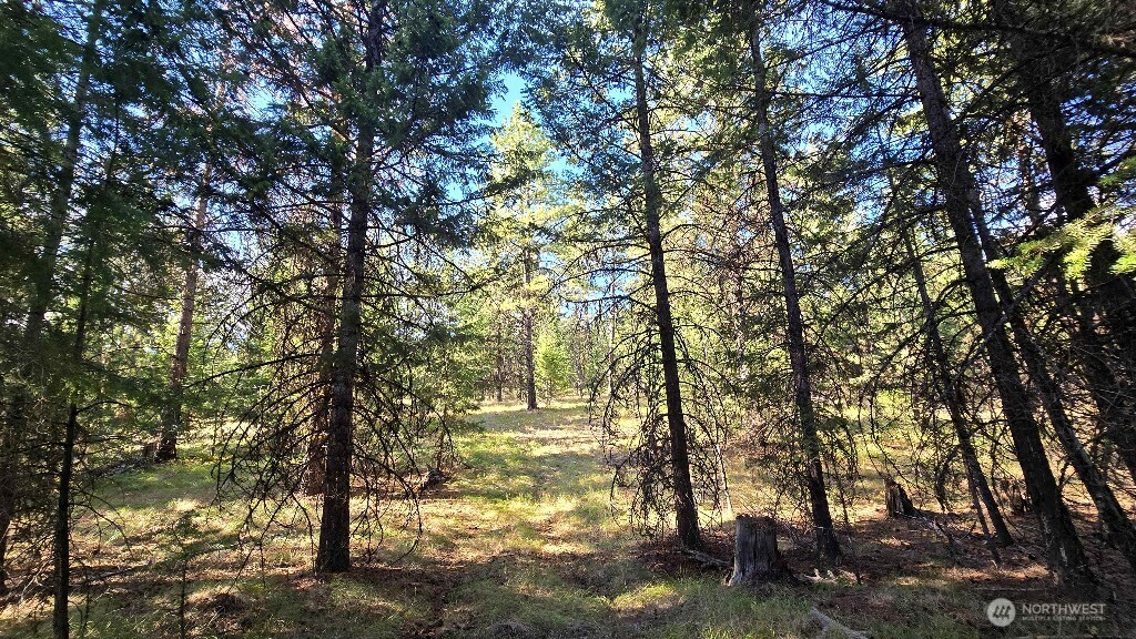 188 Rebel Road Property Photo 39