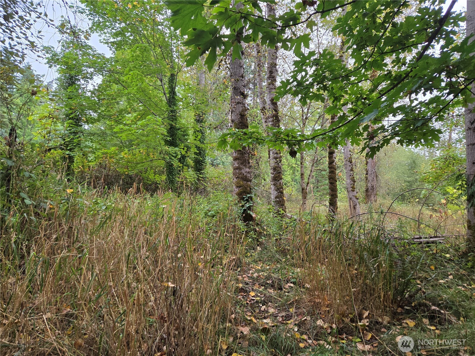 12628 208th Place Property Photo 3
