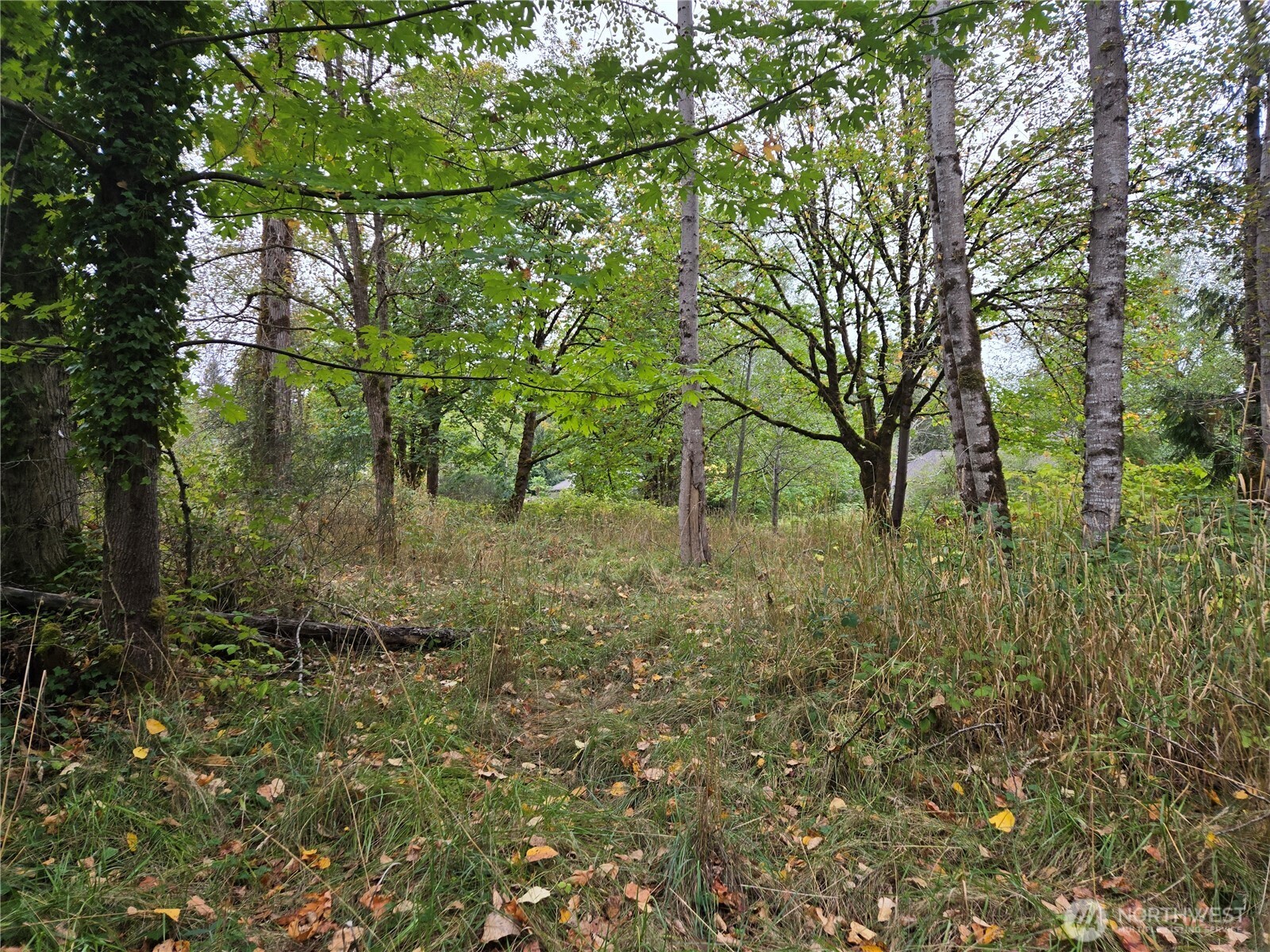 12628 208th Place Property Photo 4
