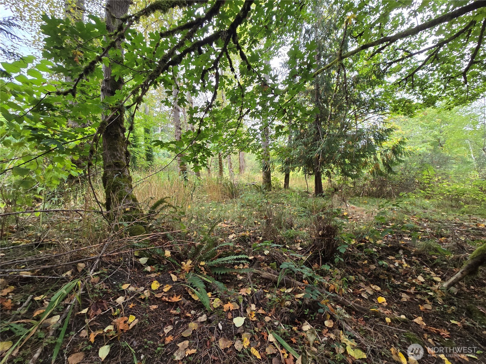 12628 208th Place Property Photo 6