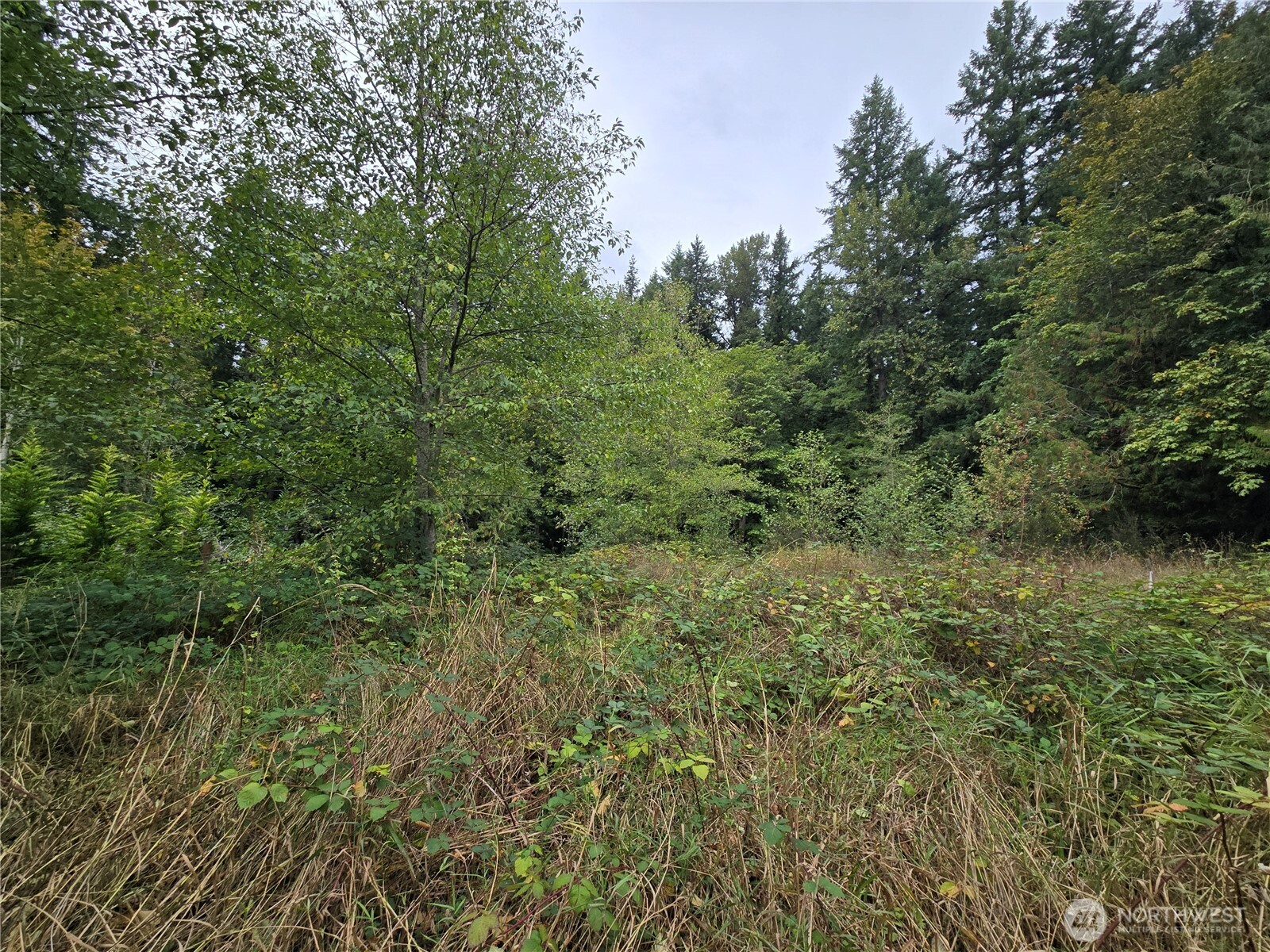 12628 208th Place Property Photo 9