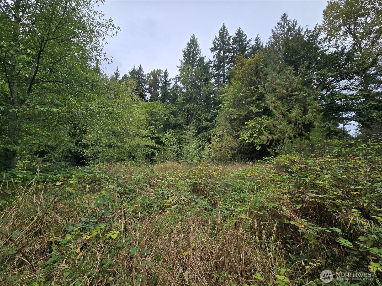 12628 208th Place Property Photo 10