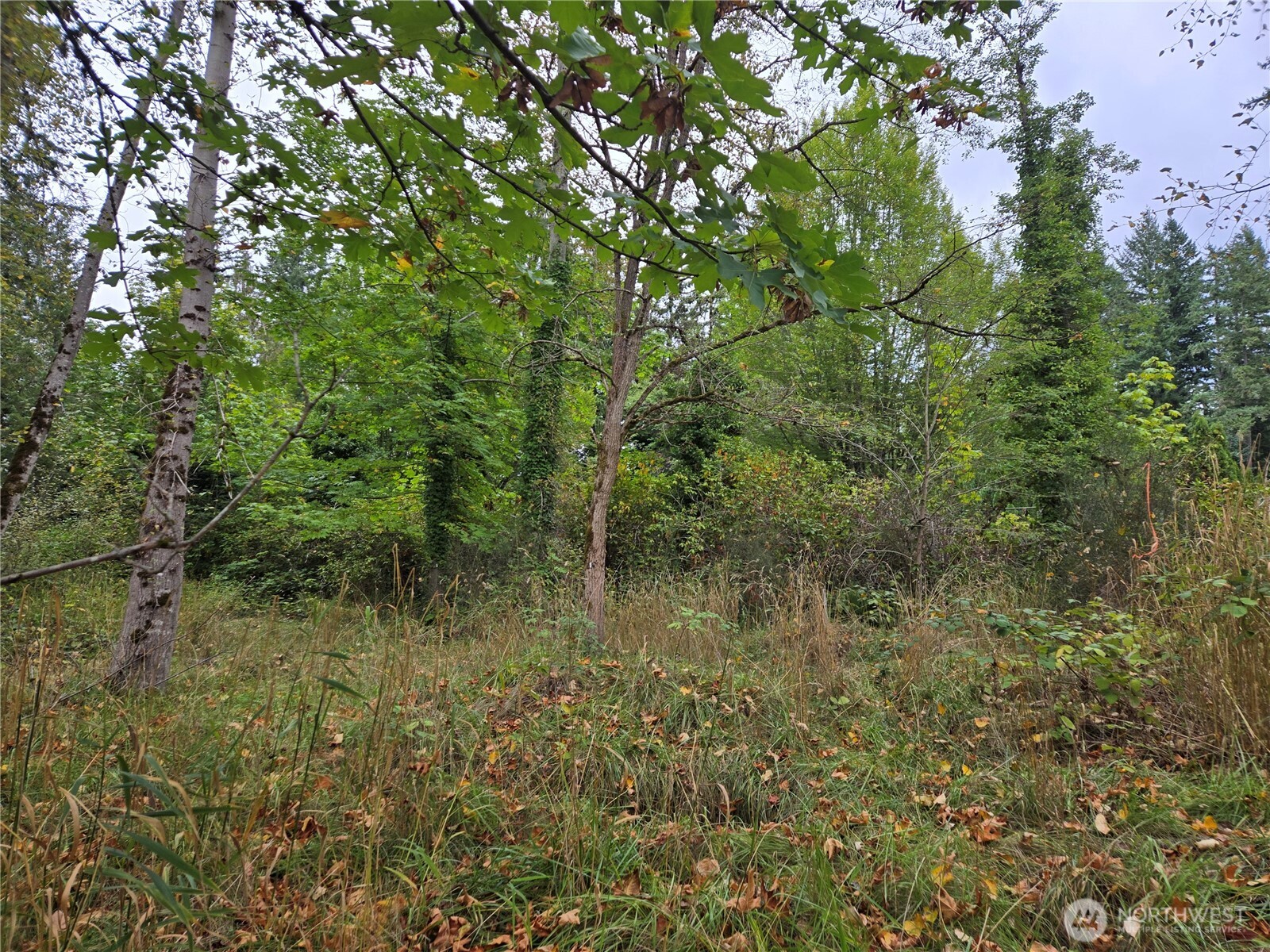12628 208th Place Property Photo 11
