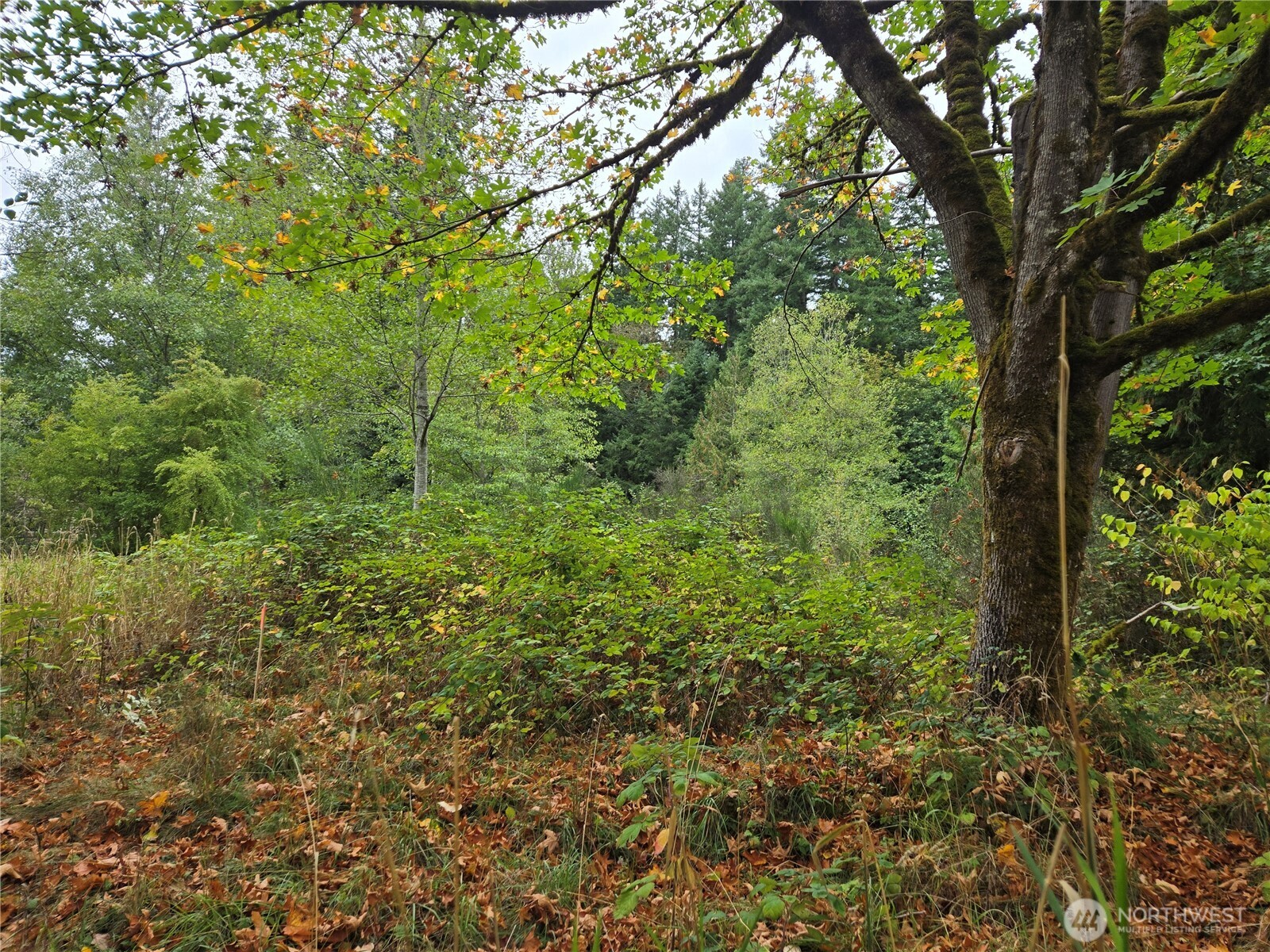 12628 208th Place Property Photo 12