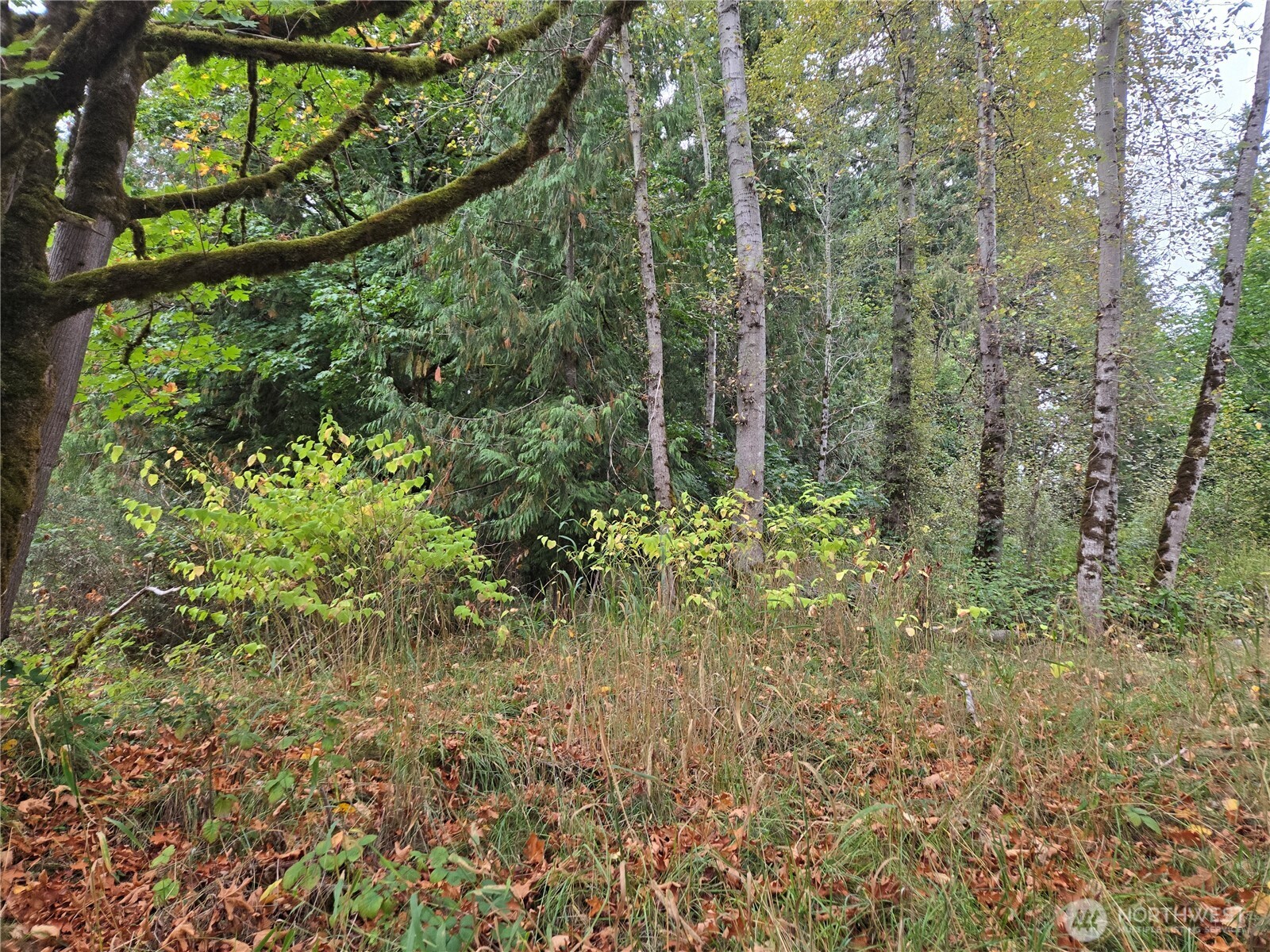12628 208th Place Property Photo 13