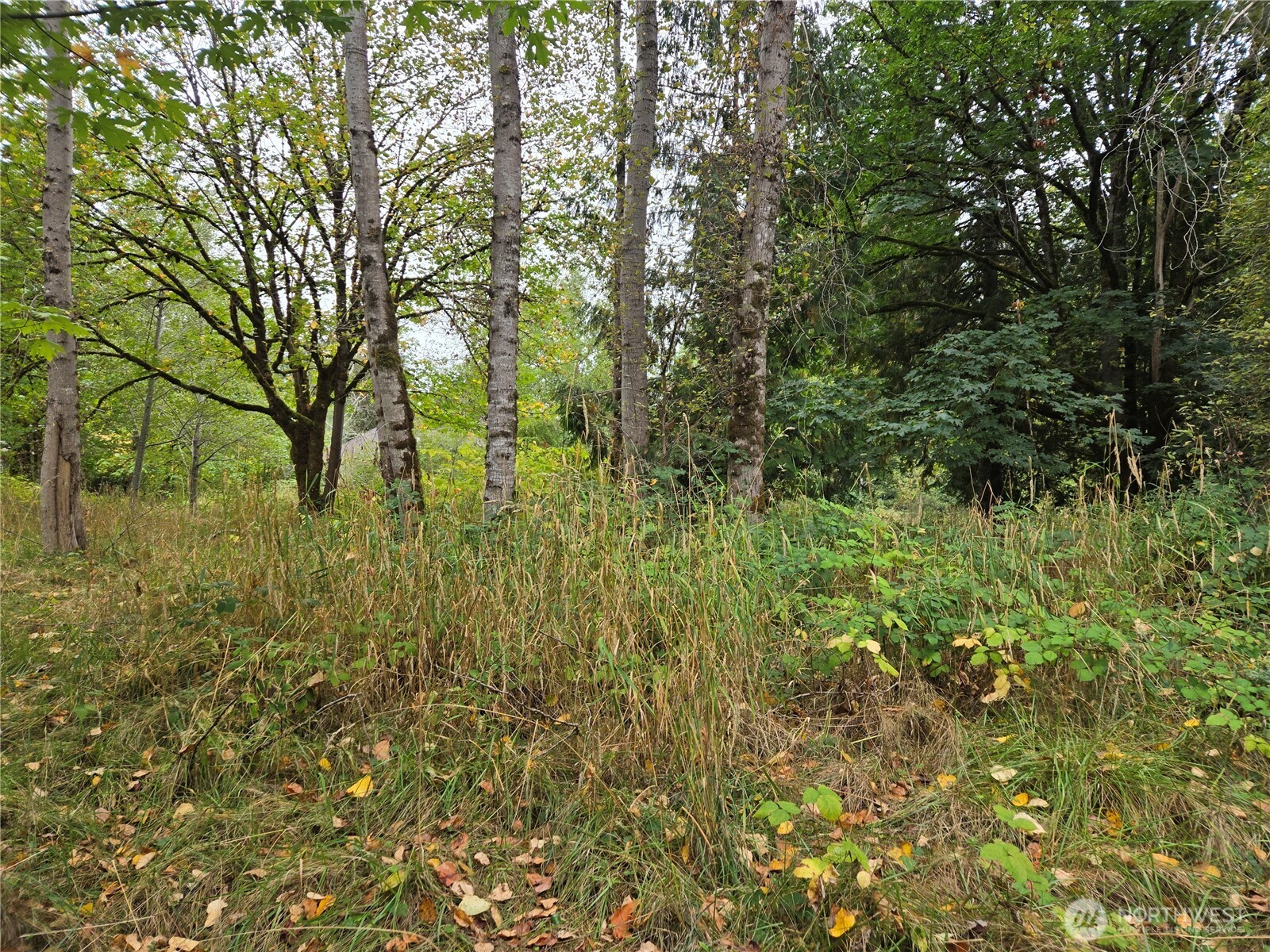 12628 208th Place Property Photo 14