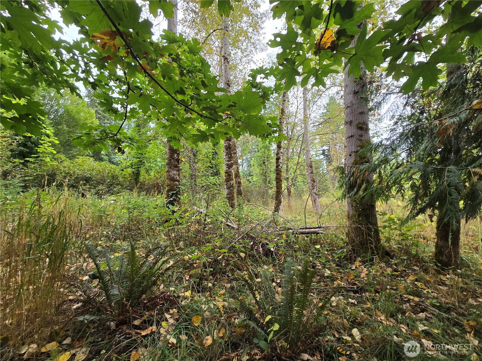 12628 208th Place Property Photo 16