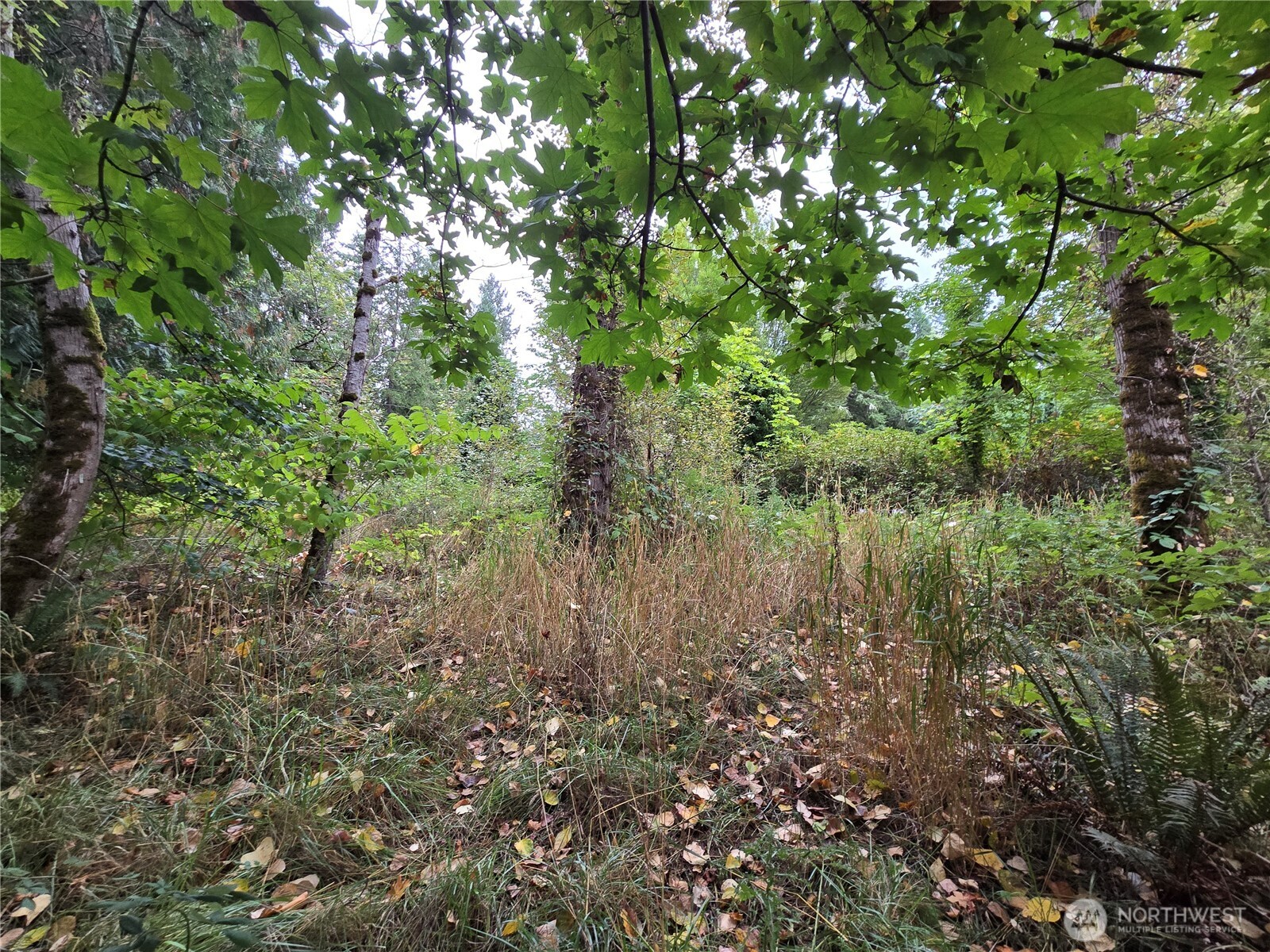 12628 208th Place Property Photo 17