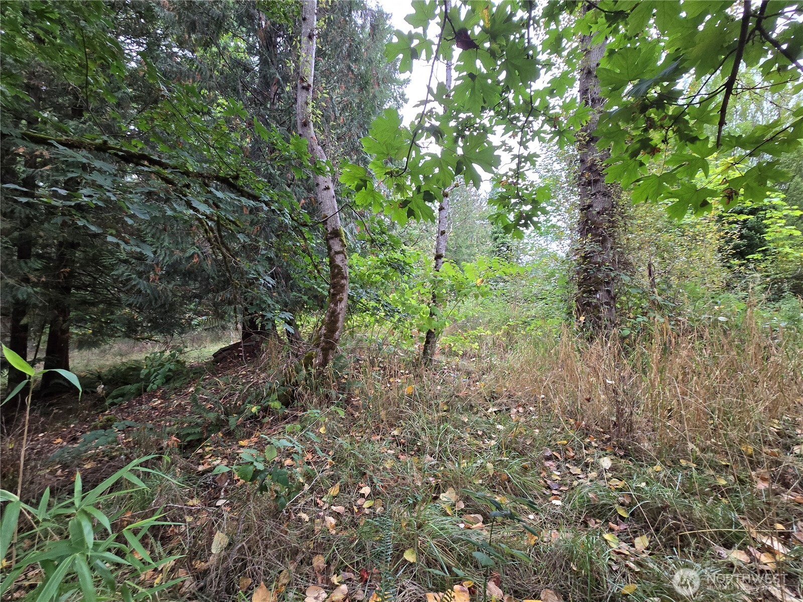 12628 208th Place Property Photo 18