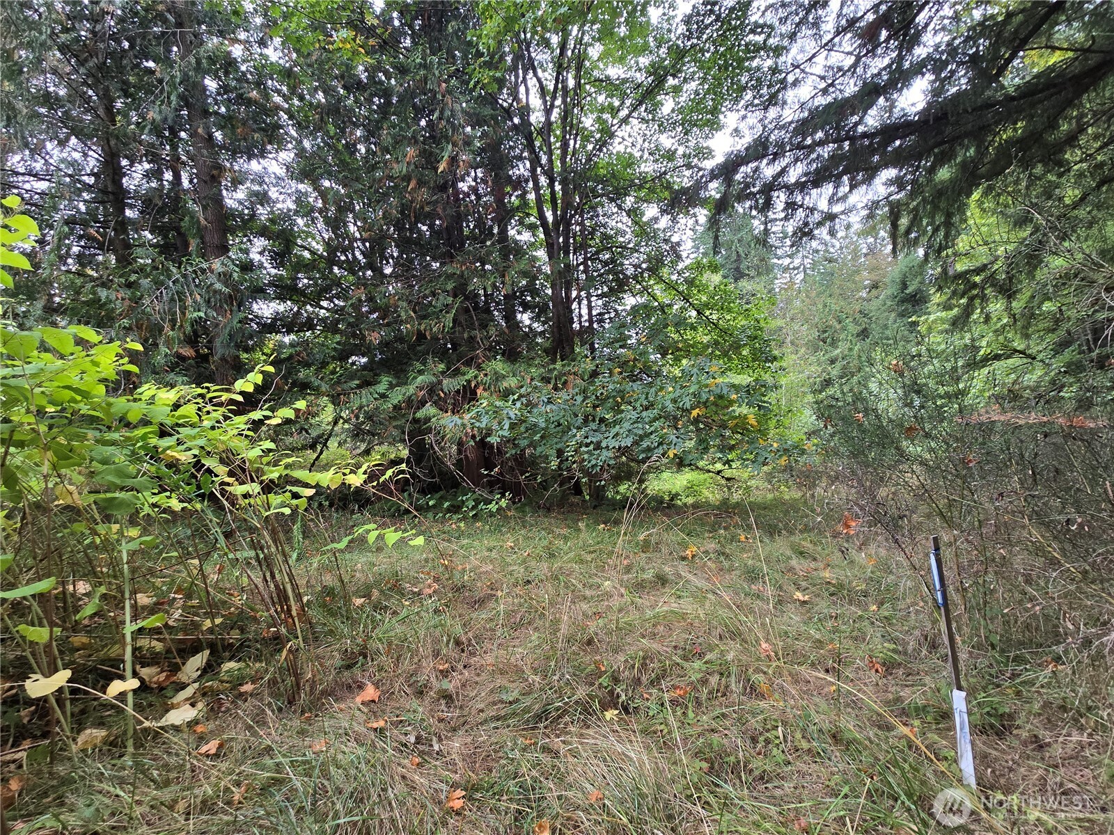 12628 208th Place Property Photo 19