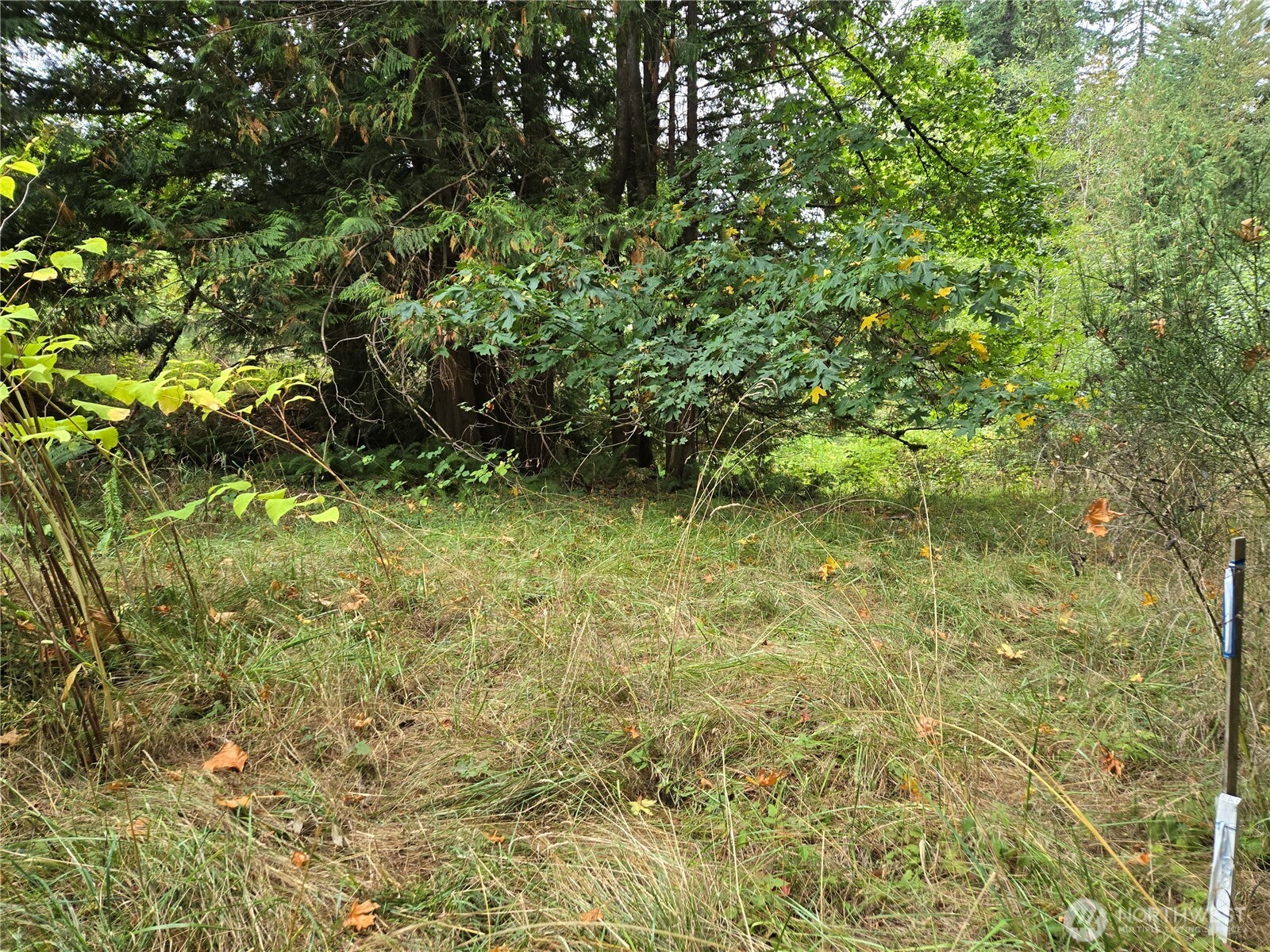 12628 208th Place Property Photo 20