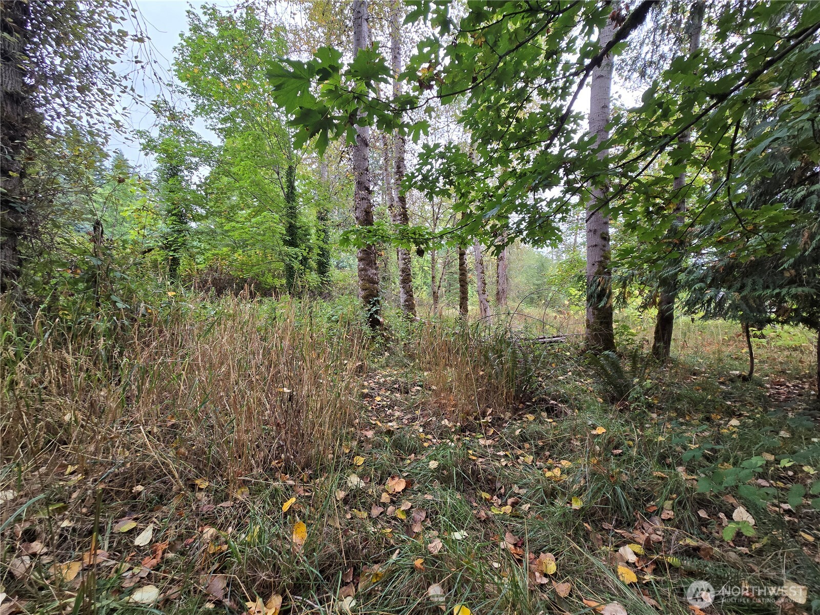 12628 208th Place Property Photo 23