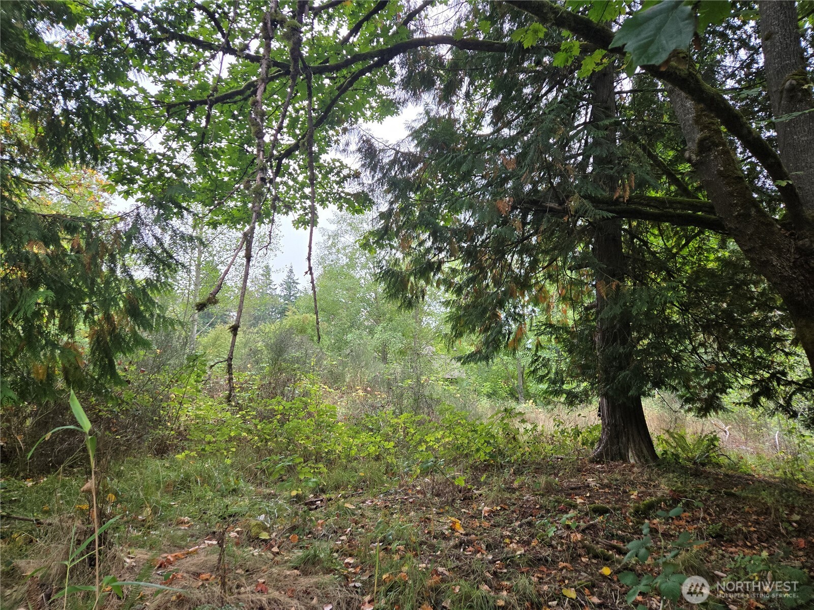 12628 208th Place Property Photo 24