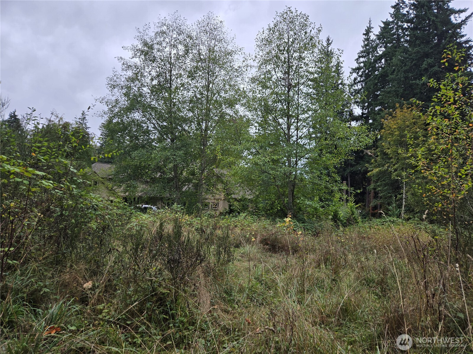 12628 208th Place Property Photo 25