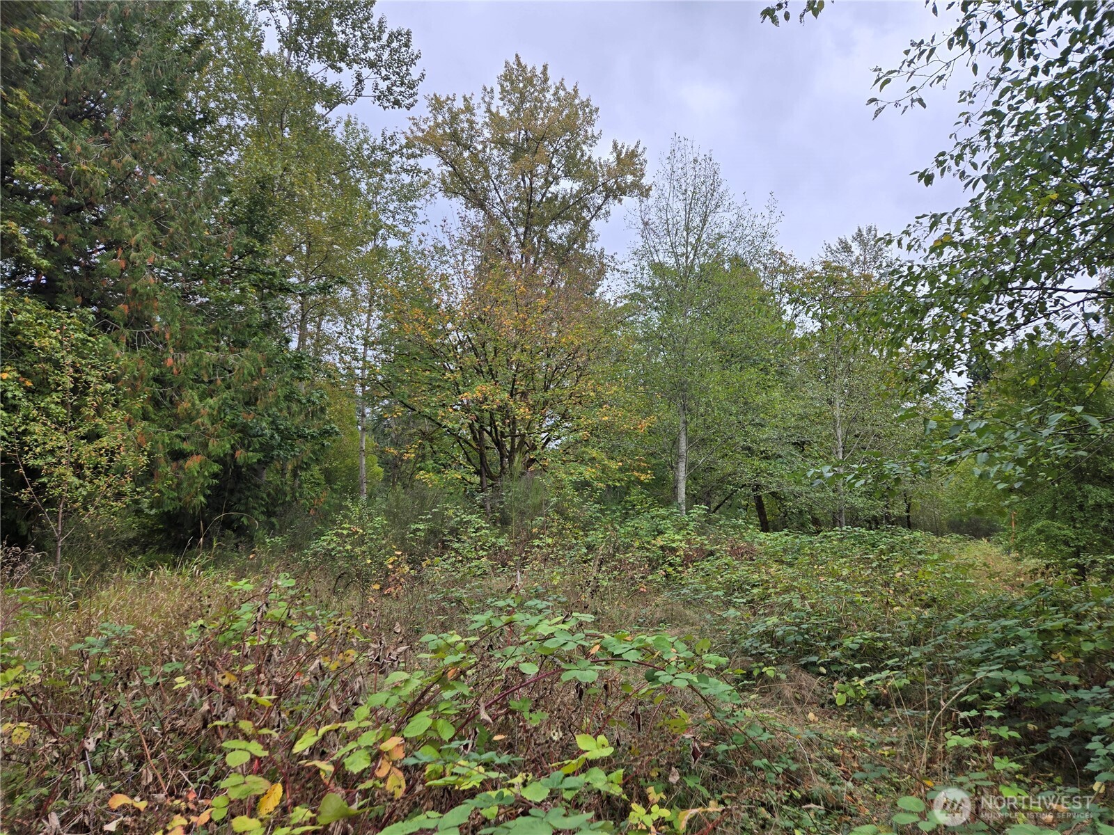 12628 208th Place Property Photo 26