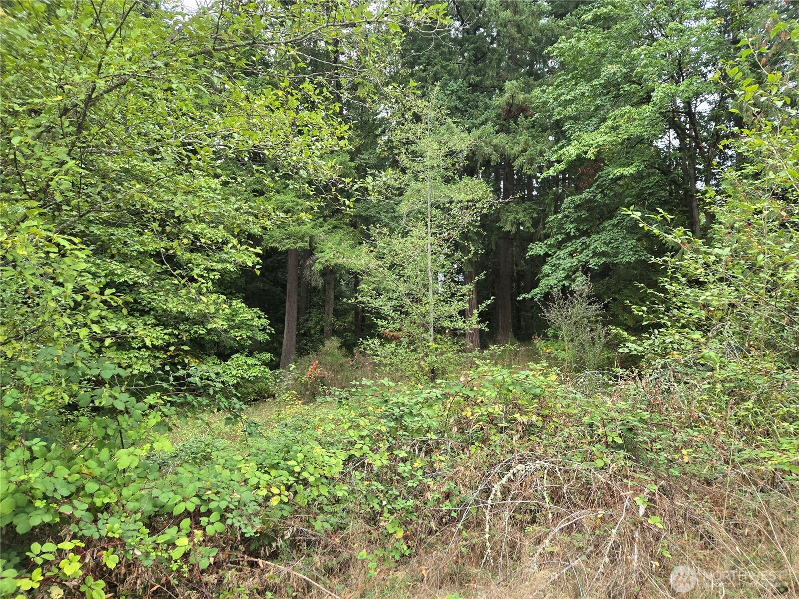 12628 208th Place Property Photo 27