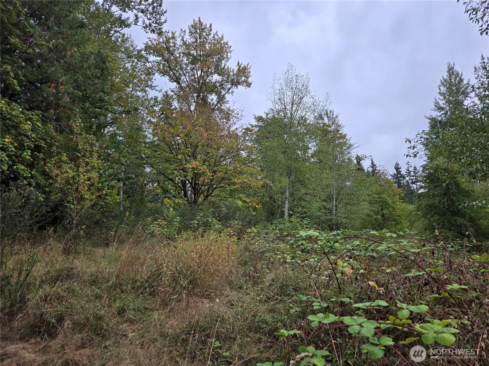 12628 208th Place Property Photo 28