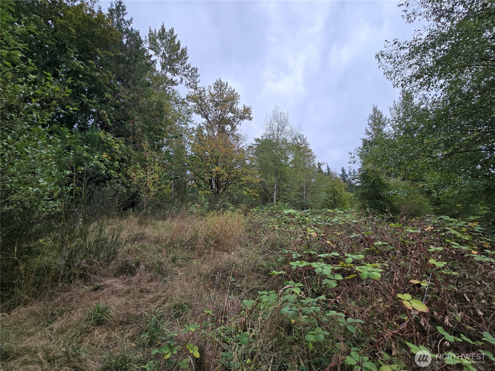12628 208th Place Property Photo 29