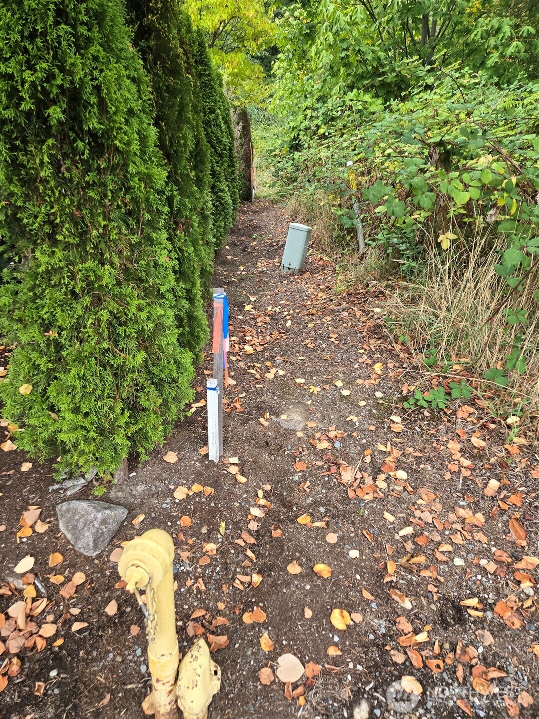12628 208th Place Property Photo 32