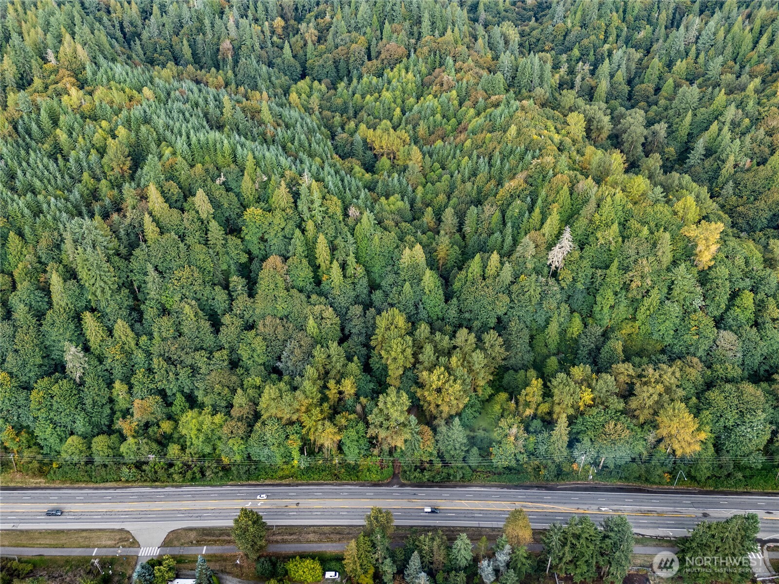 17311 Se Renton-maple Valley Road Property Photo 9