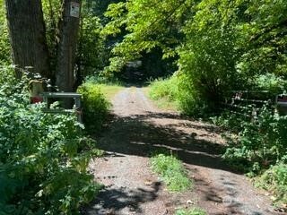 17311 Se Renton-maple Valley Road Property Photo 15