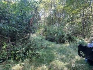 17311 Se Renton-maple Valley Road Property Photo 19