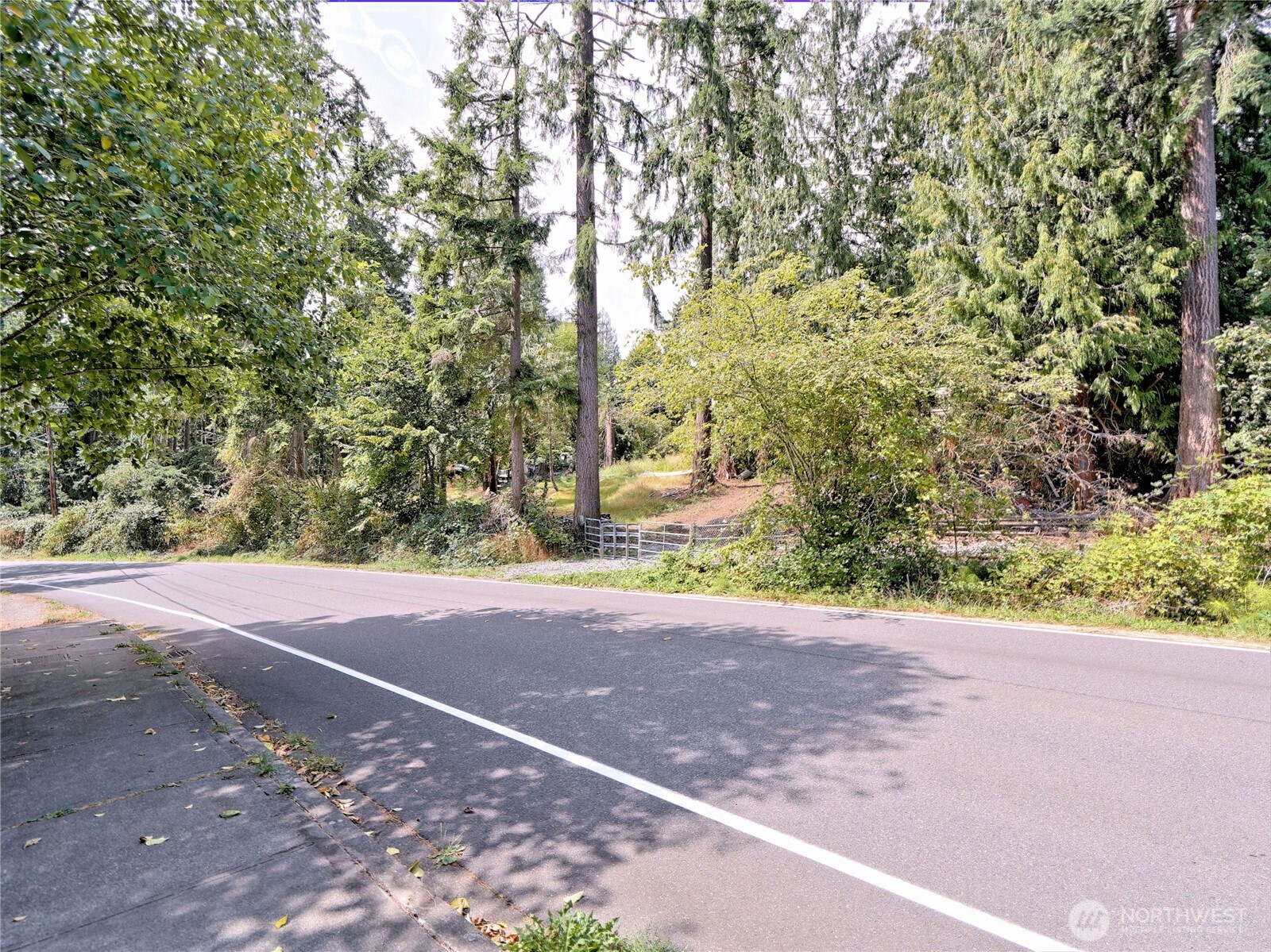17204 Northup Way Property Photo 4