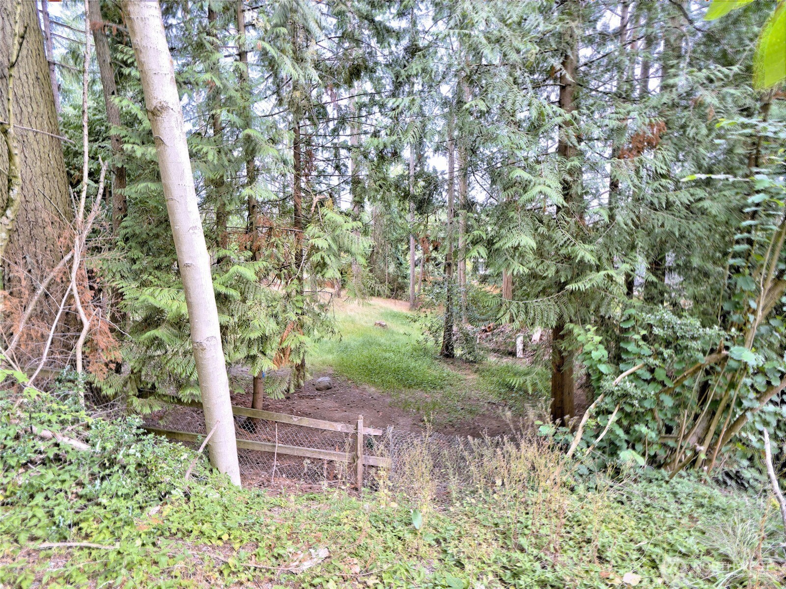 17204 Northup Way Property Photo 12