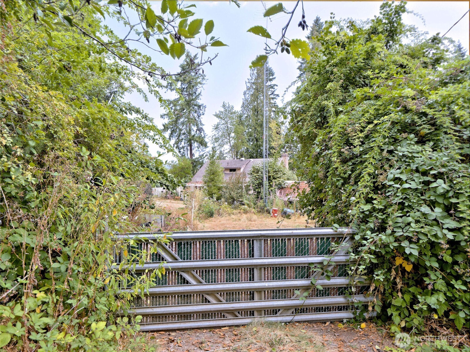 17204 Northup Way Property Photo 17