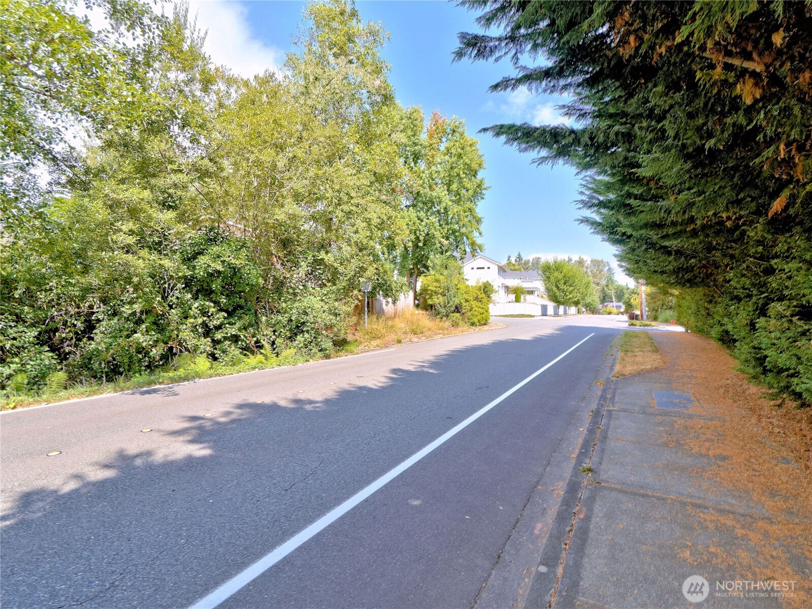 17204 Northup Way Property Photo 18